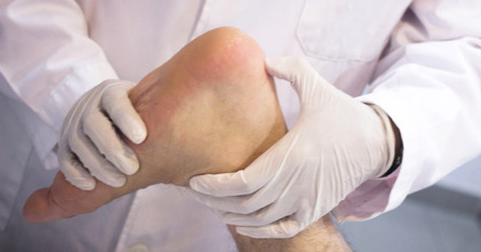 ankle