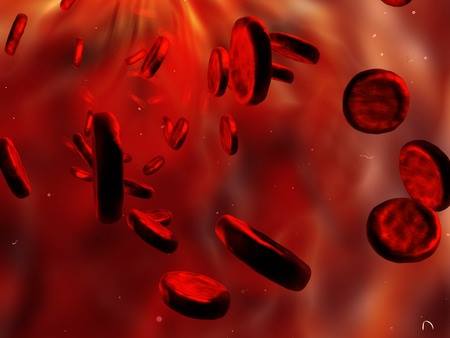blood stem cells