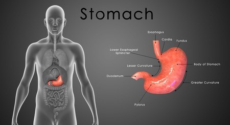 The Shocking Truth About Acid Reflux