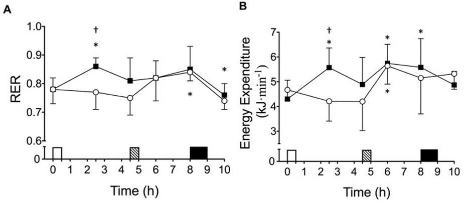 Energy Expenditure