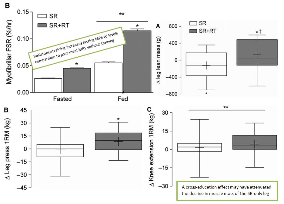 Changes in muscle protein synthesis, leg muscle mass, and leg strength after 2-weeks step reduction with (SR+RT) or without (SR) resistance training. 
