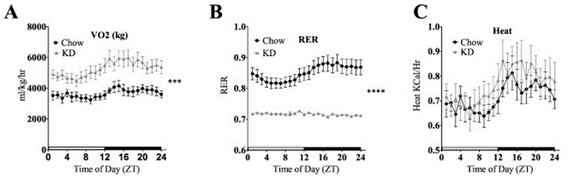 Oxygen consumption (VO2), respiratory exchange ratio (RER), and heat production in keto-fed and chow-fed mice.