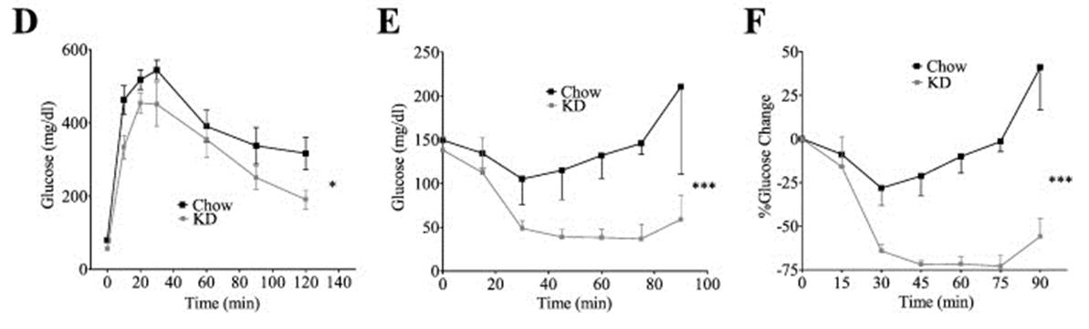 Blood glucose in response to a glucose-challenge test (A) and total blood glucose (E) and % change (F) after exogenous insulin administration in keto-fed and chow-fed mice.