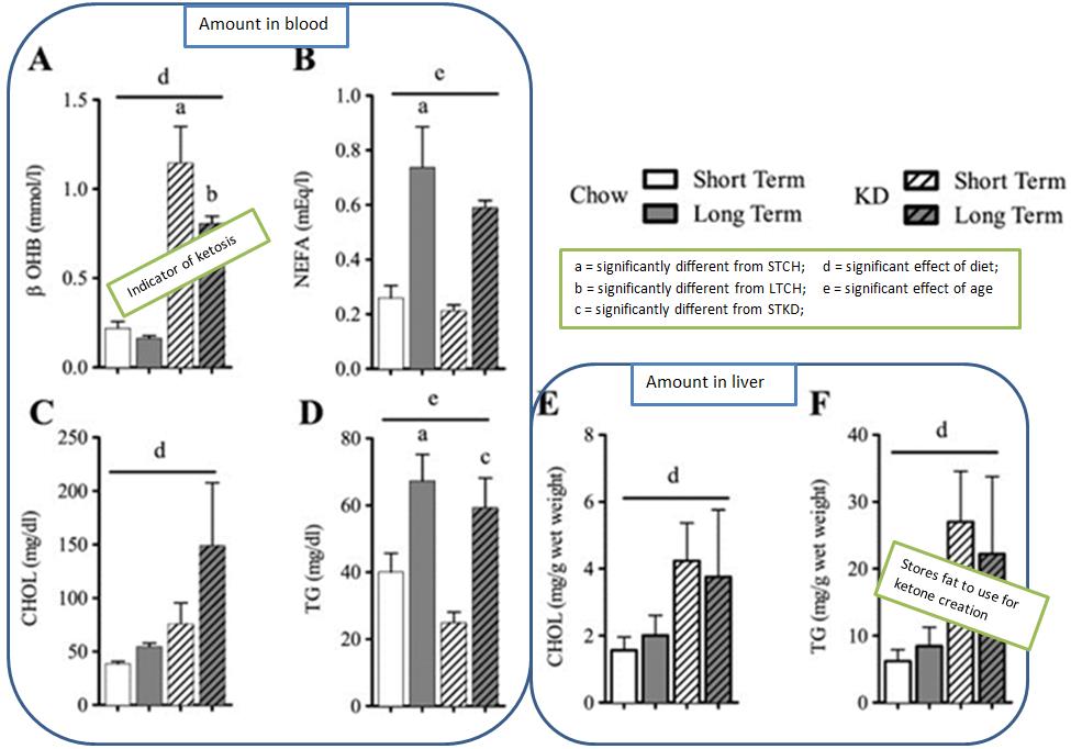 Beta-hydroxybutyrate (BOHB), non-esterfied fatty acid (NEFA), cholesterol (chol), and triglycerides (TG) in serum (A-D) and liver (E & F) in keto-fed and chow-fed mice.