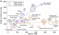 GHGE emissions for various food groups on a per weight basis