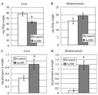 Fat (top) and glycogen (bottom) content of the liver (left) and skeletal muscle (right) in rats fed a standard diet with (grey) or without (white) acetic acid.