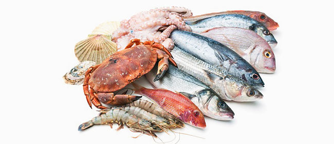 fish and seafoods