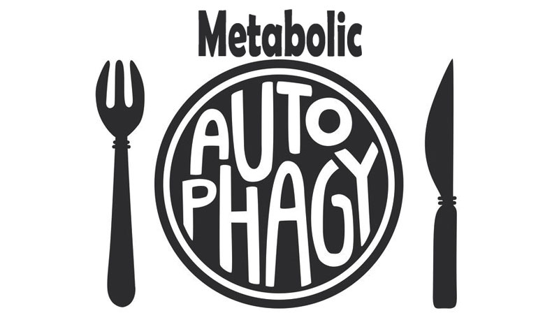 Metabolic Autophagy