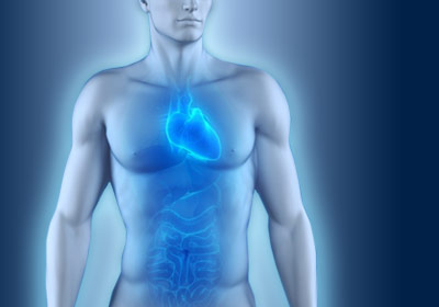 SHR # 2077 :: The Gastric-Cardiac Connection ::