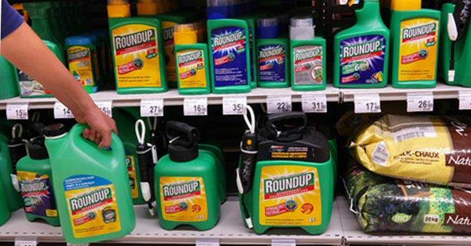 roundup glyphosate