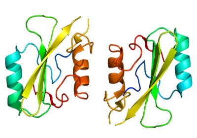 Structure of the GRB10 protein