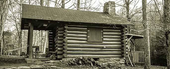 forest log cabin
