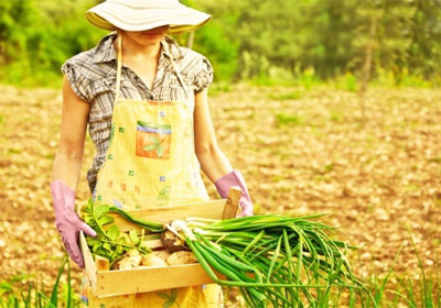 organic farming