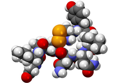 Oxytocin
