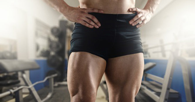 thigh muscle