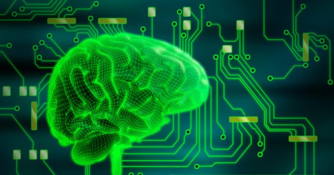 wired human brain