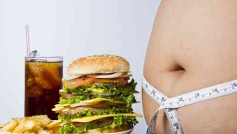 obesity and foods