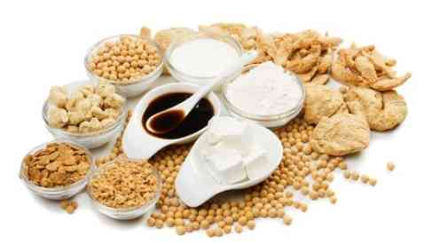 soy beans and soy powder