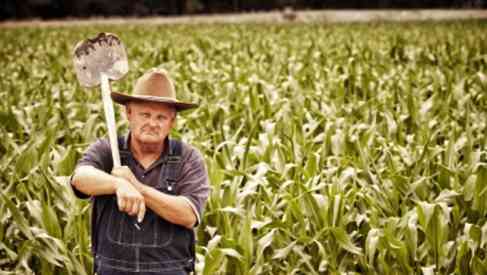 a farmer