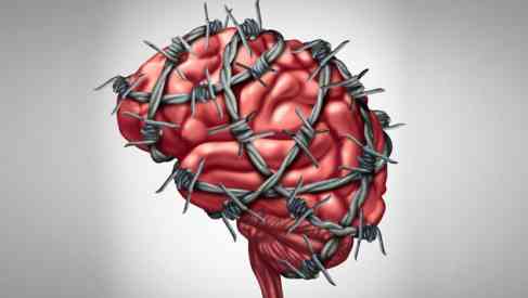 addict's brain