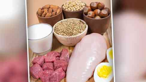 plant and animal based protein foods