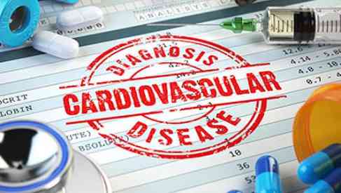 cvd - cardiovascular disease