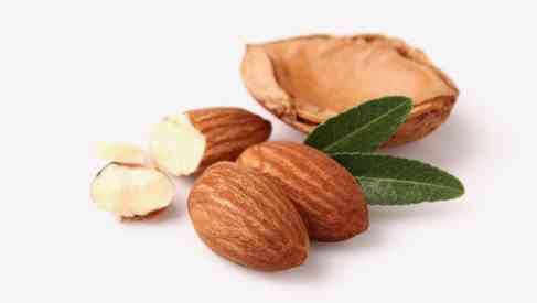 dried kernel of almonds