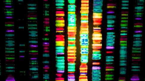 Epigenetic Testing Pattern