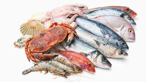 fish and seafoods