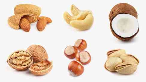 different kinds of nuts