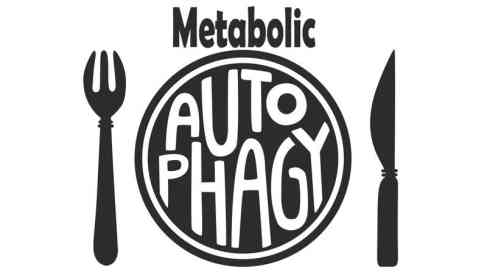 Metabolic Autophagy