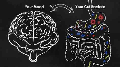 mind and gut connection