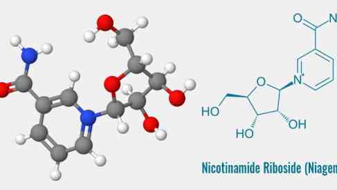 Nicotinamide Riboside (Niagen)