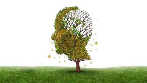 old brain