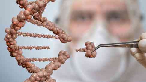 CRISPR gene editing