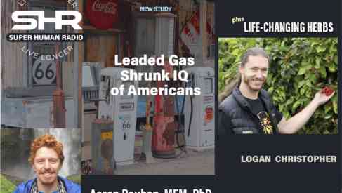 Leaded Gas Shrunk IQ of Americans