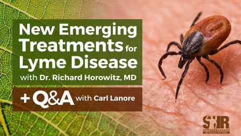 New Emerging Treatments for Lyme Disease