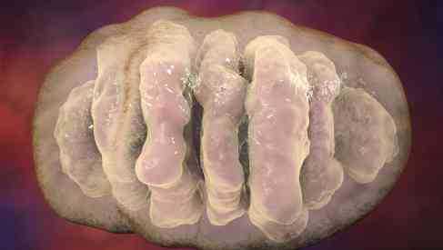 Epigenetic Testing Pattern