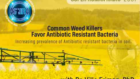 How Weed Killers Create Antibiotic Resistant Bacteria