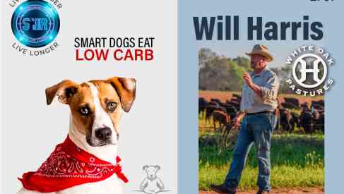Smart Dogs Eat Low Carb + Cattle Ranching that's Better for the Planet