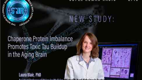 New Study: Chaperone Protein Imbalance Promotes toxic Tau Buildup in The Aging Brain
