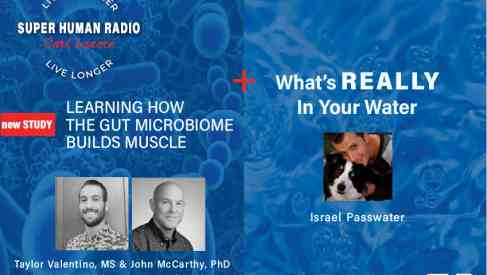 Learning How The Microbiome Builds Muscle
