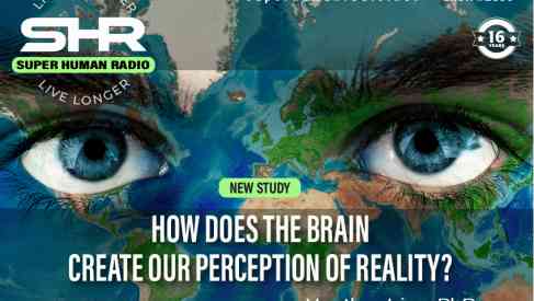 How Does The Brain Create Our Perception Of Reality?