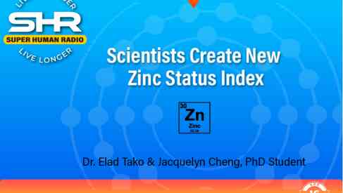 Food Scientists Create Zinc Index for Human Body