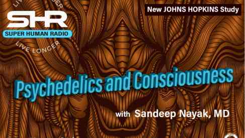 Psychedelics and Consciousness