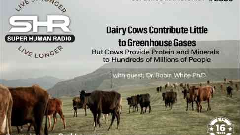 Dairy Cows Contribute Little to Greenhouse Gases But Provide Protein and Minerals to Millions