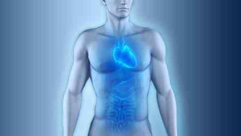 Roemheld Syndrome: The Gastric - Cardiac Connection