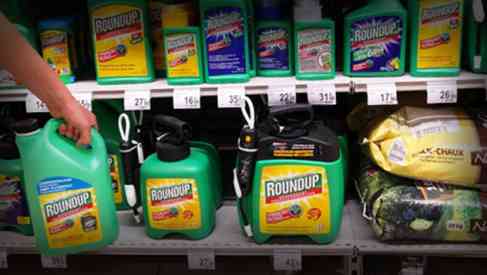 Roundup Glyphosate Herbicide