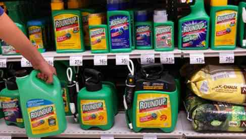 roundup glyphosate
