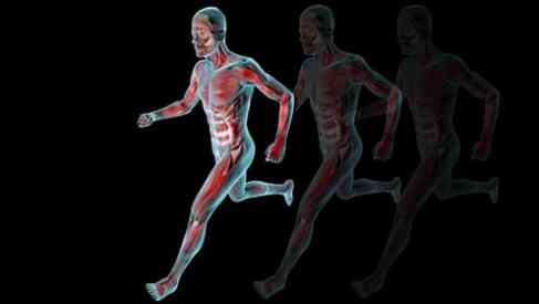 Running man muscles anatomy system